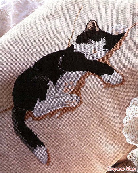 ​Изумительная вышивка кота