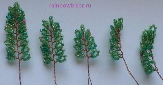 Дерево цветущей акации