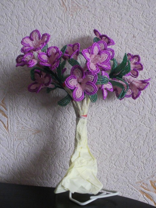 Бонсай адениум: мастер-класс