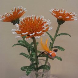 Милый оранжевый цветочек с белыми кончиками