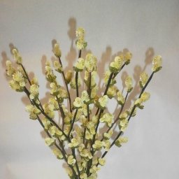 Нежное очарование вербы из бисера и пайеток