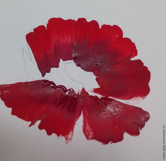 Рисуем прекрасный мак в технике One Stroke (двойной мазок): мастер-класс