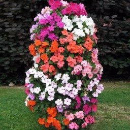 Вертикальная клумба с петунией