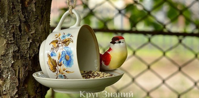 Кормушка для птиц из чашки и блюдца