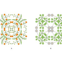 Уроки дизайна вышивки: построения