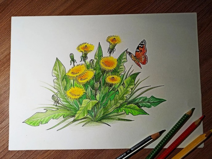 Рисуем одуванчики