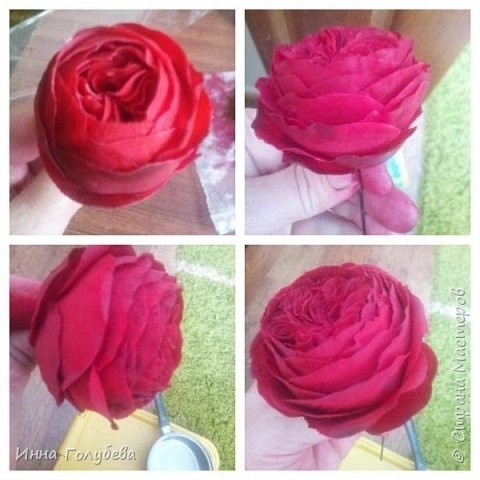 ​Розы, не уступающие в красоте живым