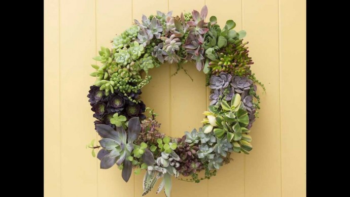 Восхитительные венки из суккулентов