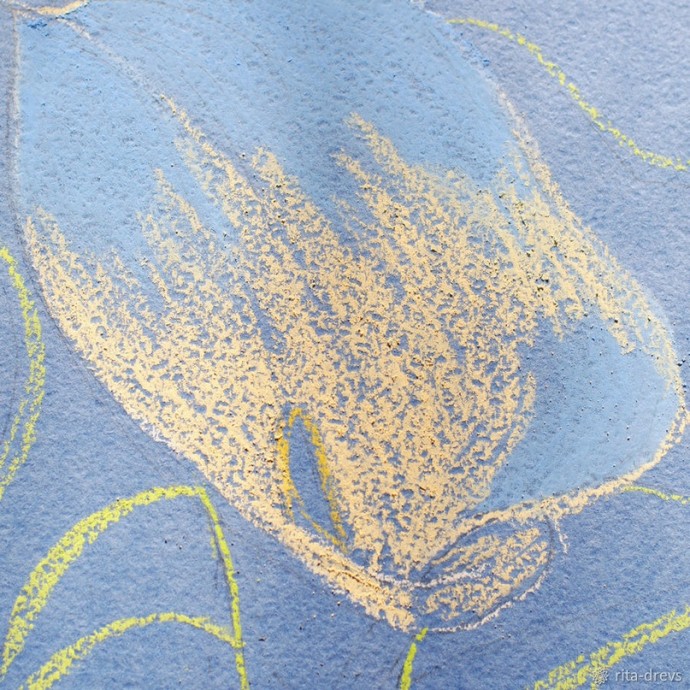 Рисуем пастелью изящный цветок каллы