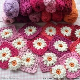 Ромашка в квадрате