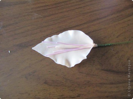 Гладиолус из холодного фарфора