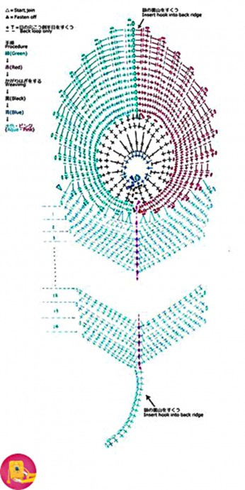 Красивое перо павлина крючком