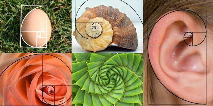 Золотое сечение в живописи