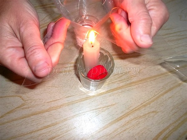 Цветы из пластиковых бутылок для сада: мастер-класс Цветы из пластиковых бутылок для сада: мастер-класс