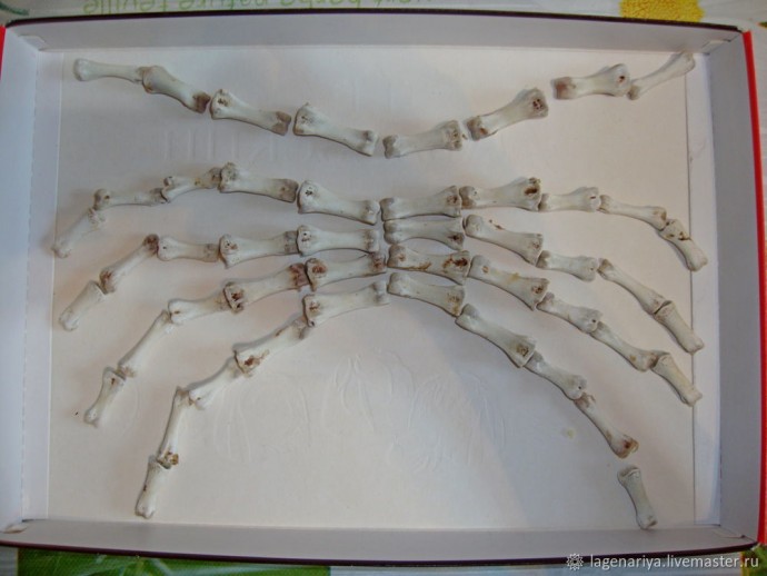 Скорпион практически из ничего