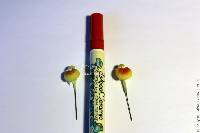 Кальцеолярия из полимерной глины