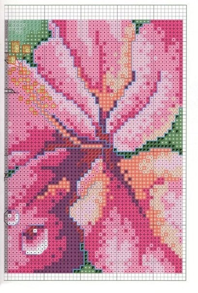 Колибри у цветка