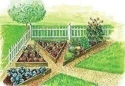 Идеи оформления грядок и клумб