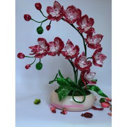 Незабываемые орхидеи их бисера