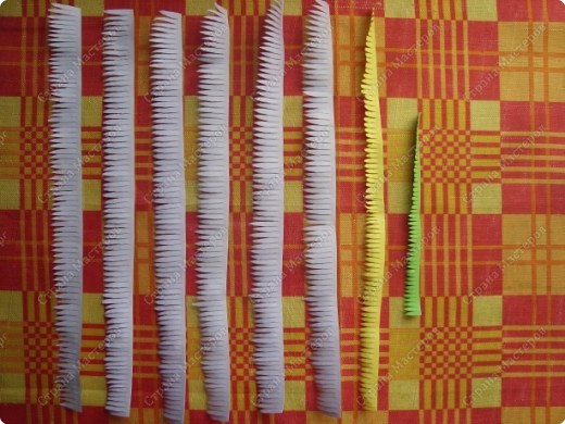 Прекрасная картина с астрами