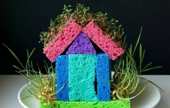 Домик с зеленью из губок