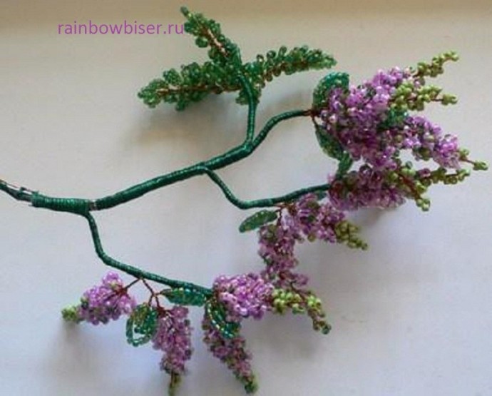 Дерево цветущей акации