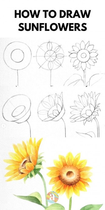 ​Учимся рисовать цветы
