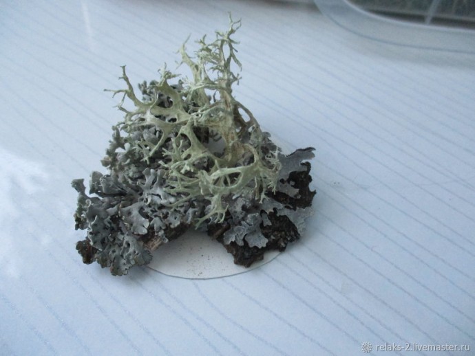 Таинственный домик из эпоксидной смолы