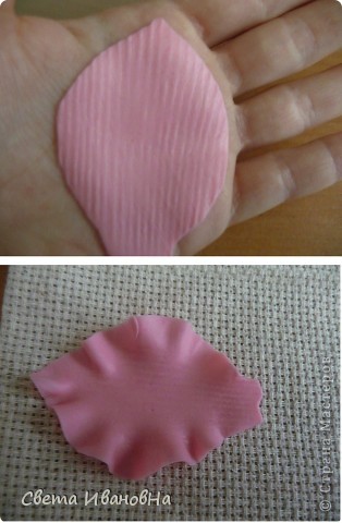 Гладиолус как живой