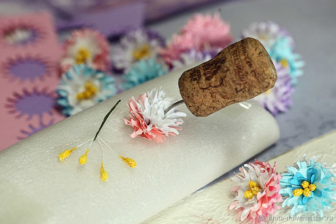 Декоративные астры