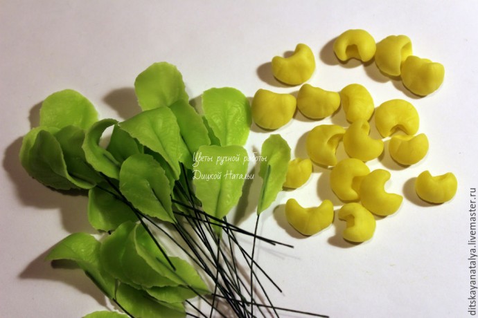 Кальцеолярия из полимерной глины