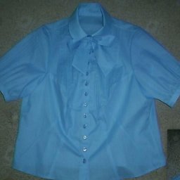 Пластрон с "ленивыми" защипами