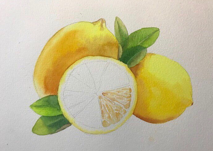 Лимоны акварелью