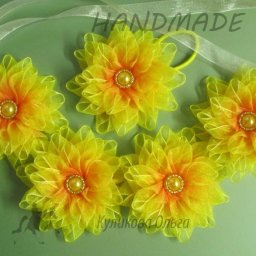 Невероятно красивые хризантемки