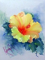 Прекрасные цветы