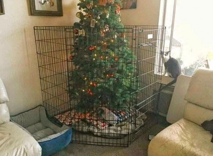 ​Антивандальные варианты ёлочек