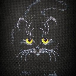 Кошка крестиком на чёрном фоне