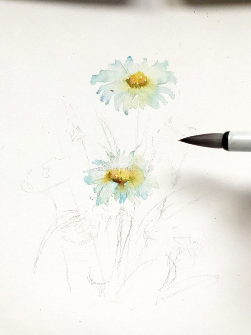 Урок рисования акварелью: ромашки