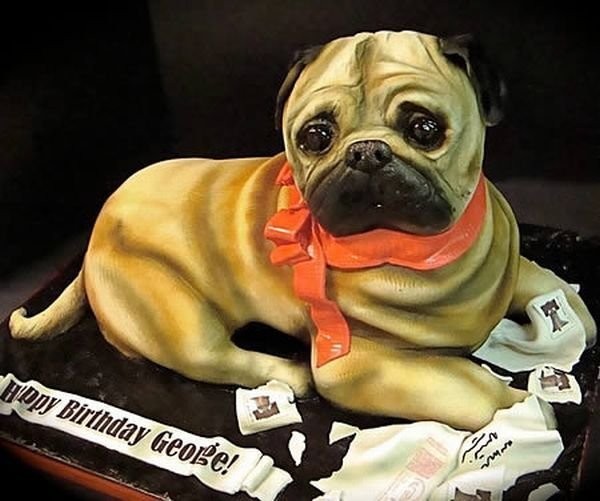 Реалистичные торты в виде собак: идеи, чем занять золотые руки