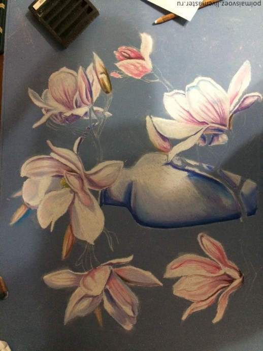 Рисование пастелью магнолии Рисование пастелью магнолии