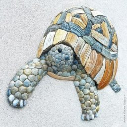 Творчество из ракушек