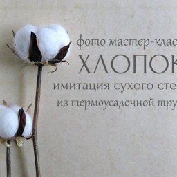 Имитация растения хлопка