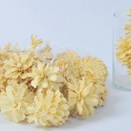 ​Отбеливаем сосновые шишки для творчества