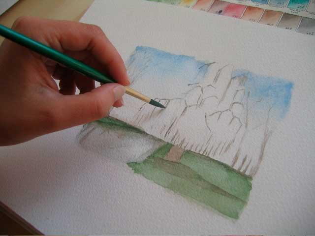 Плакучая ива акварелью