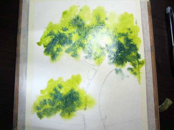 Рисуем дерево акварелью