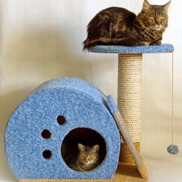 ​Домик для кошки с точилкой для когтей