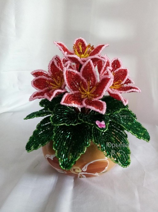 ​Изумительные цветочки