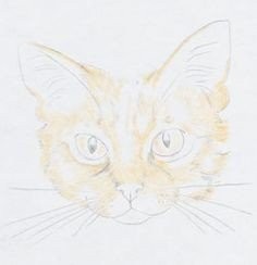 Рисуем кошку Рисуем кошку