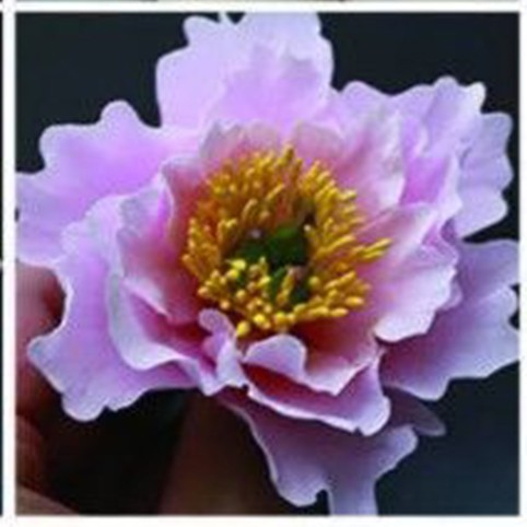 Чудесный цветок из полимерной глины