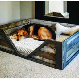 Лежанка для домашнего питомца своими руками